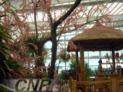 ]顺义莲花山滑雪场凯发网址在京城滑雪(图1)